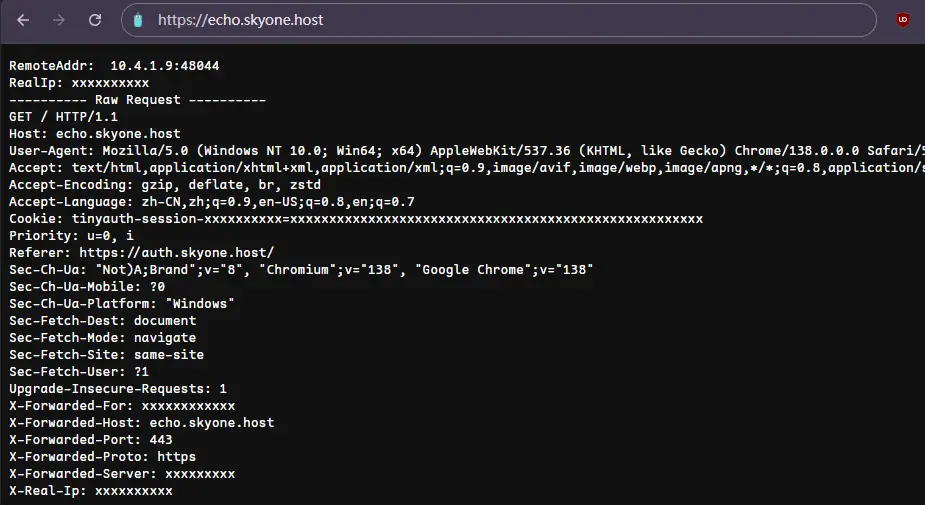 重定向到 echo 服务